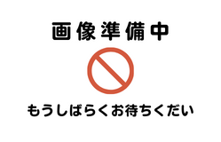 TN-63J トナーカートリッジ 純正