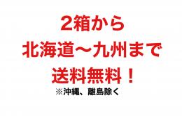 PPC用紙 PPCPW-B4 Pure White B4(2箱5000枚)